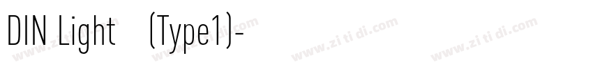 DIN Light 亮体 (Type1)字体转换